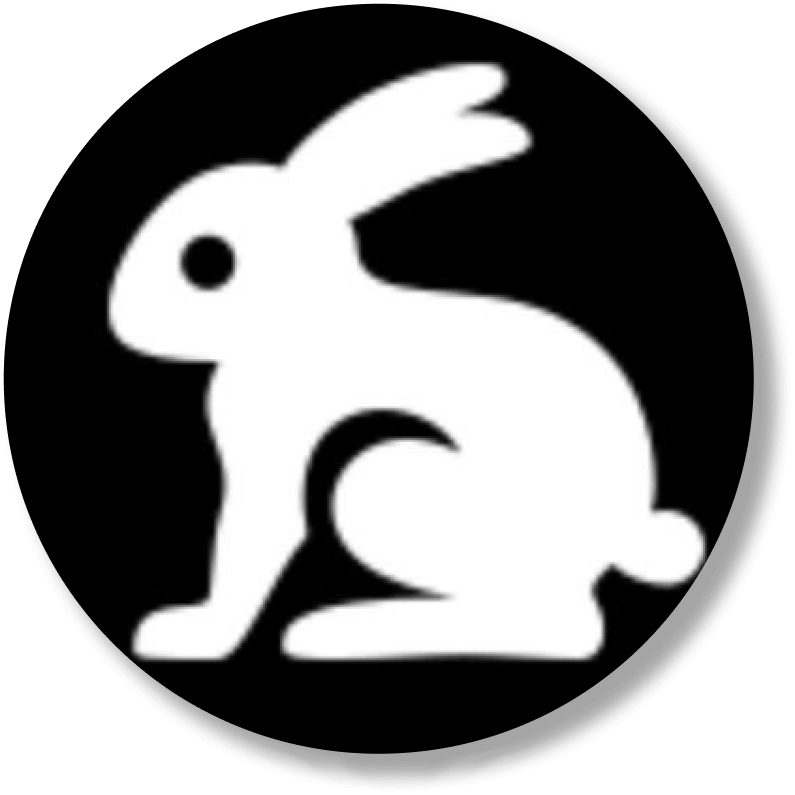 Bunny Inject app icon